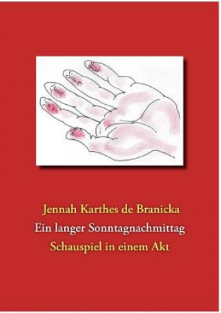 Buch langer Sonntagnachmittag Jennah Karthes de Branicka