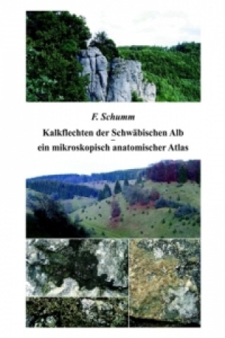 Könyv Kalkflechten der Schwäbischen Alb - ein mikroskopisch anatomischer Atlas F. Schumm
