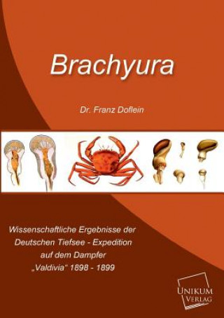 Kniha Brachyura Franz Doflein