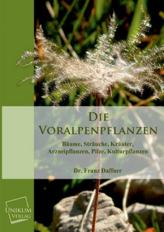 Kniha Voralpenpflanzen Franz Daffner