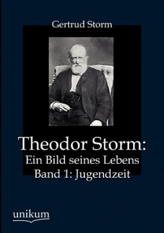Carte Theodor Storm Gertrud Storm