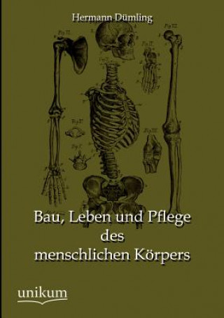 Kniha Bau, Leben und Pflege des menschlichen Koerpers Hermann Dümling