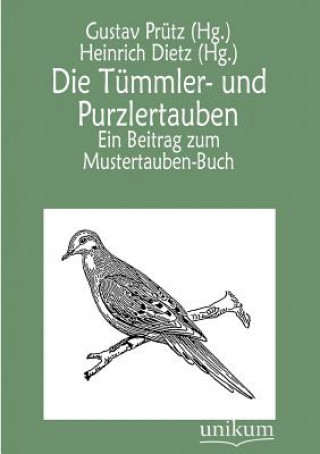 Kniha Tummler- und Purzlertauben Gustav Prütz