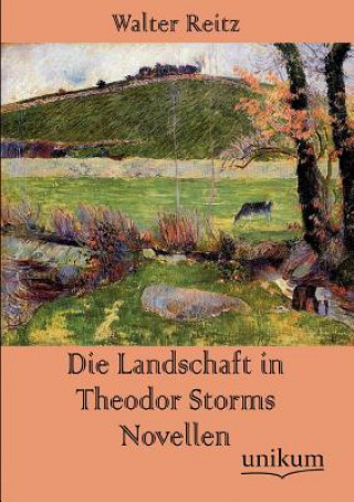 Książka Landschaft in Theodor Storms Novellen Walter Reitz