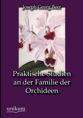 Carte Praktische Studien an der Familie der Orchideen Joseph G. Beer