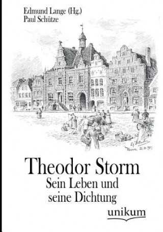 Kniha Theodor Storm Paul Schutze