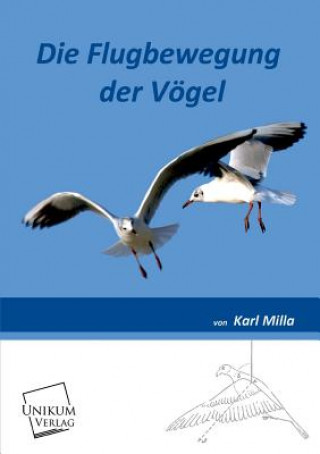 Carte Flugbewegung Der Vogel Karl Milla