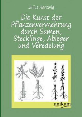Carte Kunst Der Pflanzenvermehrung Durch Samen, Stecklinge, Ableger Und Veredelung Julius Hartwig