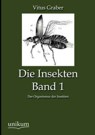 Könyv Insekten, Band 1 Vitus Graber
