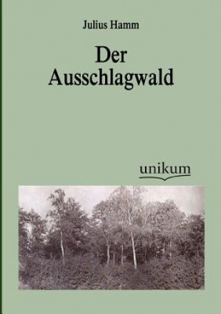 Carte Ausschlagwald Julius Hamm