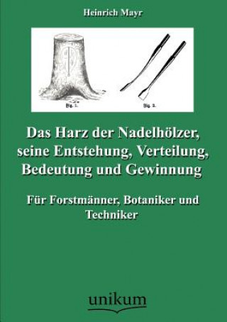 Kniha Harz der Nadelhoelzer, seine Entstehung, Verteilung, Bedeutung und Gewinnung Heinrich Mayr