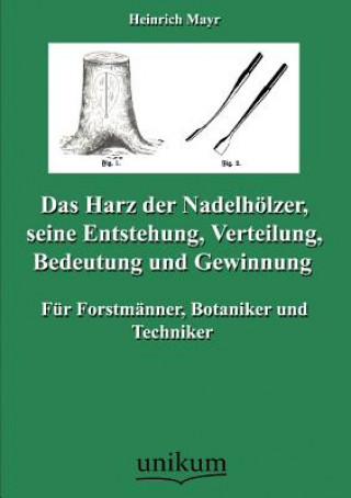 Knjiga Harz der Nadelhoelzer, seine Entstehung, Verteilung, Bedeutung und Gewinnung Heinrich Mayr