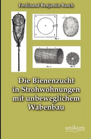 Könyv Bienenzucht in Strohwohnungen mit unbeweglichem Wabenbau Ferdinand Benjamin Busch