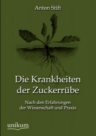 Book Krankheiten der Zuckerrube Anton Stift