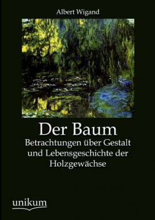 Книга Baum Albert Wigand