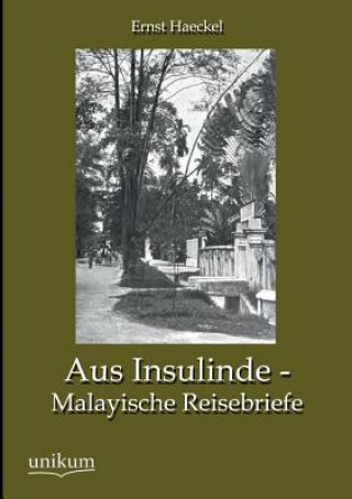 Kniha Aus Insulinde - Malayische Reisebriefe Ernst Haeckel