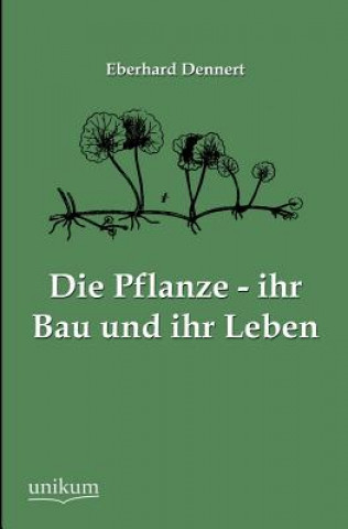 Książka Pflanze - ihr Bau und ihr Leben Eberhard Dennert