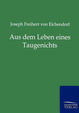 Könyv Aus dem Leben eines Taugenichts Joseph Frhr. von Eichendorff