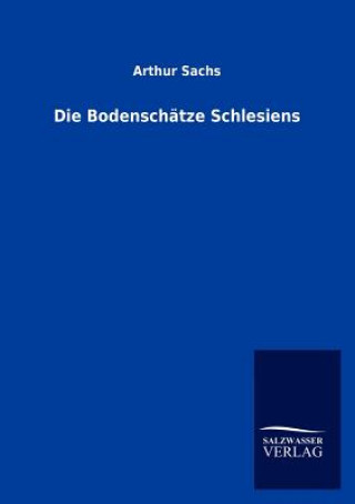 Kniha Bodenschatze Schlesiens Arthur Sachs
