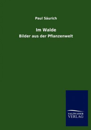 Könyv Im Walde Paul Säurich