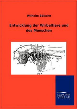 Carte Entwicklung der Wirbeltiere und des Menschen Wilhelm Bölsche
