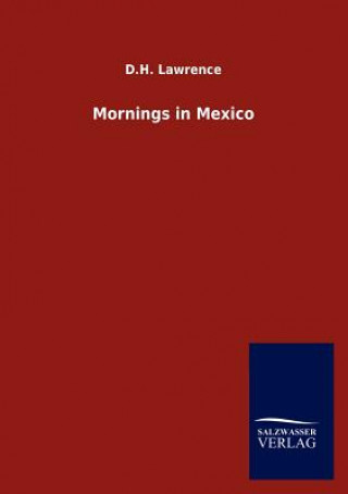Könyv Mornings in Mexico David H. Lawrence