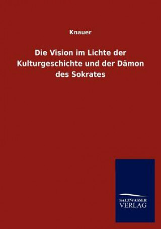Książka Vision im Lichte der Kulturgeschichte und der Damon des Sokrates nauer