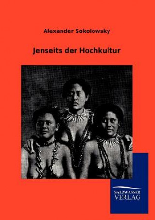 Libro Jenseits der Hochkultur Alexander Sokolowsky