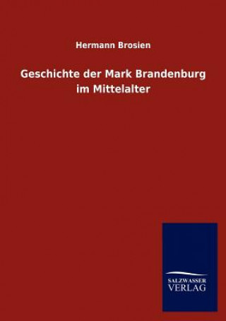 Livre Geschichte der Mark Brandenburg im Mittelalter Hermann Brosien