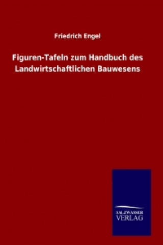 Książka Entwicklungstheorie (Darwins Lehre) G. Tschulok