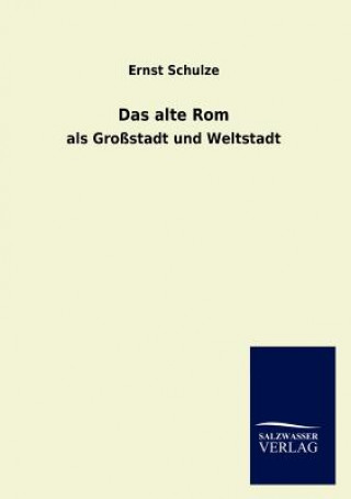 Книга alte Rom Ernst Schulze