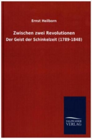 Buch Geschichte der römischen Literatur August Hausrath