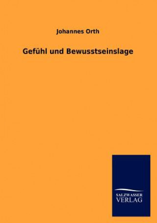 Kniha Gefuhl und Bewusstseinslage Johannes Orth