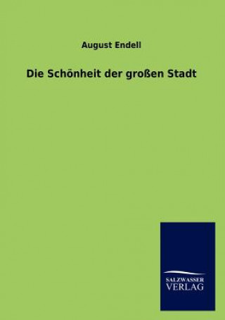 Kniha Schoenheit der grossen Stadt August Endell