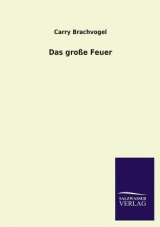 Kniha Grosse Feuer Carry Brachvogel