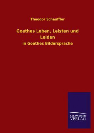 Kniha Goethes Leben, Leisten und Leiden Theodor Schauffler