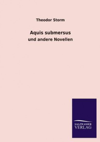 Buch Aquis Submersus Theodor Storm