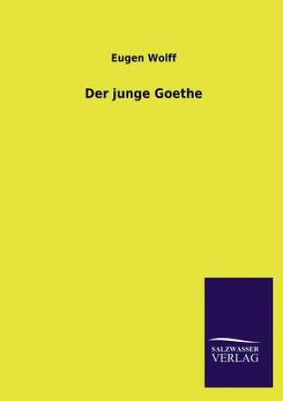 Книга junge Goethe Eugen Wolff