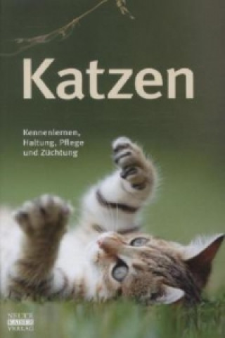Kniha Katzen 