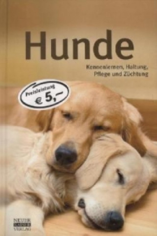 Kniha Hunde Walter Wurzer