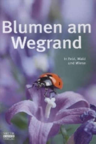 Kniha Blumen am Wegrand 