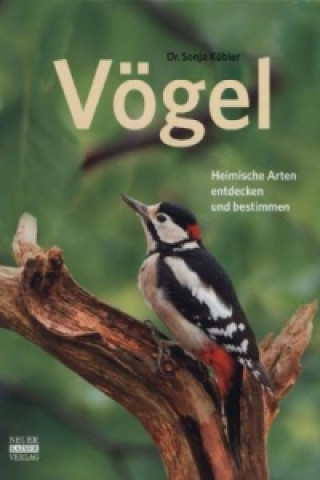 Kniha Vögel Sonja Kübler