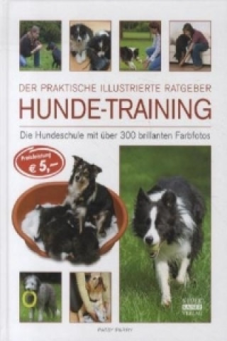 Kniha Hunde-Training Patsy Parry