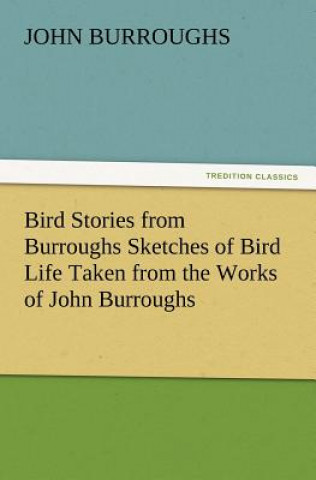 Book Bird Stories from Burroughs Sketches of Bird Life Taken from the Works of John Burroughs John Burroughs