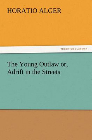 Carte Young Outlaw Or, Adrift in the Streets Horatio Alger