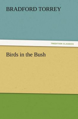 Libro Birds in the Bush Bradford Torrey