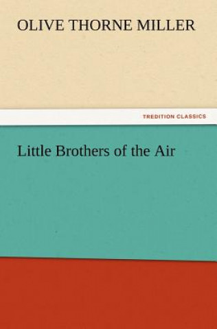 Kniha Little Brothers of the Air Olive Thorne Miller