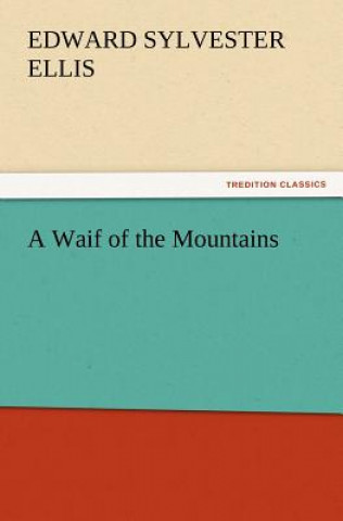 Buch Waif of the Mountains Edward Sylvester Ellis