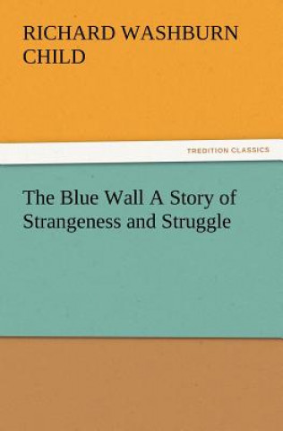 Kniha Blue Wall A Story of Strangeness and Struggle Richard Washburn Child