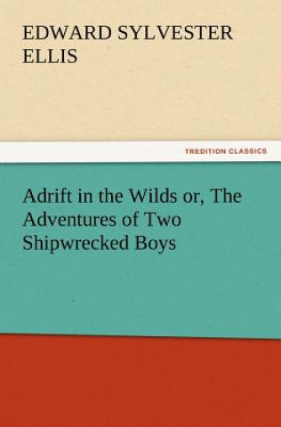 Kniha Adrift in the Wilds Or, the Adventures of Two Shipwrecked Boys Edward Sylvester Ellis